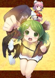 Rule 34 | 2girls, animal ears, bandages, bird, blush, breasts, bun cover, chain, chinese clothes, clenched hand, clenched hands, cuffs, double bun, eagle, female focus, flower, green eyes, green hair, highres, ibaraki kasen, kasodani kyouko, large breasts, long sleeves, looking at viewer, multiple girls, open mouth, outstretched arm, perspective, pink eyes, pink hair, puffy sleeves, raised fist, red eyes, rose, sakimori dan, shackles, short hair, short sleeves, skirt, smile, tabard, touhou