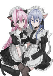 Rule 34 | 2girls, alternate costume, animal ear fluff, animal ears, apron, black bow, black dress, black gloves, black necktie, black thighhighs, blue eyes, bow, braid, breasts, brown thighhighs, cat ears, cat girl, cat tail, chihuri, closed mouth, commentary request, dress, ende (chihuri), enmaided, frilled apron, frilled thighhighs, frills, gloves, grey hair, hair intakes, highres, juliet sleeves, long hair, long sleeves, maid, maid headdress, medium breasts, multiple girls, nea (chihuri), necktie, original, pink hair, puffy short sleeves, puffy sleeves, purple eyes, short sleeves, simple background, smile, tail, thighhighs, very long hair, white apron, white background