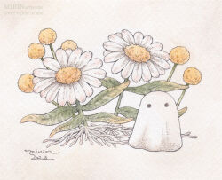 Rule 34 | artist name, daisy, flower, ghost, mirin (mirin 4), no humans, original, painting (medium), traditional media, watercolor (medium), white flower