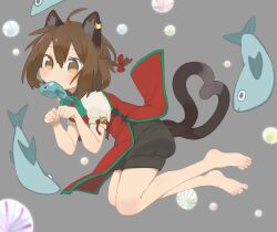 Rule 34 | 1girl, ahoge, animal ear fluff, animal ears, barefoot, bell, black shorts, blush, bow, bowtie, braid, brown eyes, brown hair, cat ears, cat tail, chen, citrus (place), dress, earrings, fish, food in mouth, french braid, full body, green bow, green bowtie, green trim, grey background, heart, heart tail, jewelry, jingle bell, legs, mouth hold, multiple tails, nekomata, no headwear, paw pose, petite, red dress, short hair, shorts, simple background, single earring, solo, tail, toes, touhou, two tails