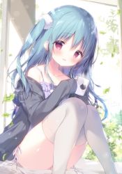 Rule 34 | 1girl, black jacket, blue hair, blush, camisole, collarbone, commentary, cup, english commentary, falling leaves, feet out of frame, hair between eyes, highres, holding, holding cup, jacket, knees together feet apart, knees up, leaf, long hair, long sleeves, looking at viewer, mug, off shoulder, one side up, open clothes, open jacket, original, panties, parted lips, purple camisole, red eyes, shiratama (shiratamaco), side-tie panties, sitting, sleeves past fingers, sleeves past wrists, smile, solo, thighhighs, thighs, underwear, white panties, white thighhighs