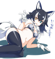 Rule 34 | 1girl, animal ears, asakura maru, bikini, black hair, black legwear, blue eyes, breasts, cleavage, commentary, commentary request, fang, gloves, grey wolf (kemono friends), heterochromia, kemono friends, long hair, looking at viewer, lying, medium breasts, multicolored hair, navel, on side, open mouth, pointing, side-tie bikini bottom, simple background, solo, swimsuit, tail, translation request, two-tone hair, white background, white gloves, white hair, wolf ears, wolf girl, wolf tail, yellow eyes