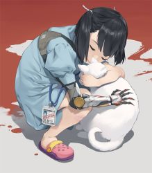 Rule 34 | 1girl, bandaid, black hair, blood, blue dress, cat, cat tail, closed eyes, crocs, dress, hair tie, hug, lanyard, mechanical arms, mhkchen, name tag, open mouth, original, pool of blood, prosthesis, prosthetic arm, short sleeves, single mechanical arm, solo, squatting, tail, twintails, white cat