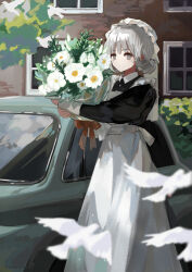 Rule 34 | 1girl, alternate costume, apron, bird, black dress, blunt bangs, bouquet, car, closed mouth, day, dove, dress, enmaided, flower, grey eyes, grey hair, highres, holding, holding bouquet, long sleeves, looking at viewer, maid, motor vehicle, nukuyu haru, original, outdoors, short hair, solo, twitter username, white apron, white flower