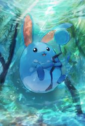 Rule 34 | :3, animal focus, artist name, azumarill, blank eyes, blue eyes, blue theme, bubble, creatures (company), day, day walker1117, english text, full body, game freak, gen 2 pokemon, happy, highres, holding own tail, light rays, nintendo, no humans, one-hour drawing challenge, open mouth, pokemon, pokemon (creature), seaweed, signature, smile, solo, tail, underwater, water