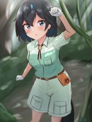 Rule 34 | 1girl, absurdres, arm up, belt pouch, black eyes, black hair, breast pocket, breasts, captain (kemono friends), captain (kemono friends) (cosplay), commentary, cosplay, day, hair between eyes, head wings, highres, jungle, kemono friends, medium breasts, medium hair, nature, open mouth, outdoors, pocket, pouch, shiraha maru, shirt, short sleeves, shorts, sketch, solo, superb bird-of-paradise (kemono friends), velt, white shirt, wings