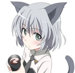 Rule 34 | 00s, 1girl, animal ears, green eyes, sanya v. litvyak, solo, strike witches, tea, transparent background, world witches series