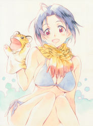 Rule 34 | 1girl, agahari, animal print, bikini, blue bikini, blue hair, breasts, cleavage, highres, idolmaster, idolmaster (classic), large breasts, looking at viewer, miura azusa, open mouth, print scarf, red eyes, scarf, short hair, sitting, smile, solo, swimsuit, tiger print, traditional media, yellow scarf