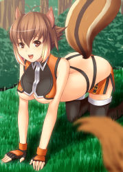 Rule 34 | 1girl, absurdres, ahoge, all fours, animal ears, arc system works, bare shoulders, blazblue, blazblue: continuum shift, breasts, brown eyes, brown hair, crawling, fingerless gloves, gloves, has bad revision, has downscaled revision, highres, large breasts, makoto nanaya, md5 mismatch, midriff, miniskirt, multicolored hair, panties, pantyshot, resolution mismatch, revealing clothes, rick.black, short hair, skirt, smile, solo, source smaller, squirrel ears, squirrel tail, tail, thighhighs, thighs, thong, two-tone hair, underboob, underwear, upskirt