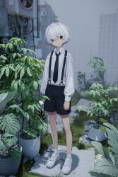 Rule 34 | 1boy, absurdres, black eyes, black necktie, black shorts, building, closed mouth, collared shirt, empty eyes, fog, full body, hair between eyes, highres, long sleeves, looking at viewer, m. (emudotto), male focus, necktie, original, outdoors, plant, potted plant, shirt, shoes, shorts, sneakers, socks, solo, standing, suspender shorts, suspenders, white footwear, white hair, white shirt, white socks