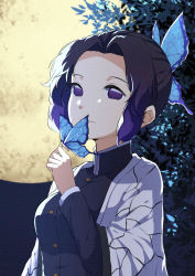 Rule 34 | 1girl, animal, animal on hand, black jacket, breasts, bug, butterfly, butterfly hair ornament, butterfly on hand, chahei, closed mouth, commentary request, forehead, full moon, hair ornament, insect, jacket, kimetsu no yaiba, kochou shinobu, long sleeves, looking away, medium breasts, moon, open clothes, parted bangs, purple eyes, purple hair, short hair, solo, upper body, wide sleeves