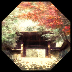 Rule 34 | absurdres, architecture, autumn leaves, border, commentary, dappled sunlight, day, east asian architecture, entrance, gate, highres, huge filesize, no humans, original, outdoors, pillar, scenery, stairs, sunlight, tile roof, tomo ro, tree