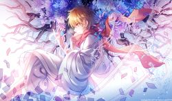 Rule 34 | 1boy, 1girl, bug, butterfly, cherry blossoms, insect, instocklee, katana, non-web source, noragami, pink scarf, robe, scarf, solo, sword, weapon, yukine (noragami)