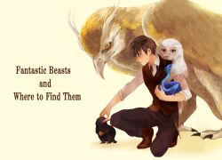 Rule 34 | 1boy, bird, blue eyes, boots, brown hair, coin, copyright name, demiguise, fantastic beasts and where to find them, feathered wings, freckles, harry potter (series), koma (user agrm8372), male focus, newt scamander, niffler, occamy, orange eyes, simple background, snake, solo, thunderbird (fantastic beast), wand, wings, wizarding world, yellow background