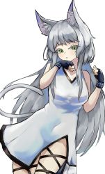 Rule 34 | 1girl, animal ear fluff, animal ears, arknights, black bracelet, black gloves, breasts, cat ears, cat girl, cat tail, commentary, cowboy shot, dress, fingerless gloves, gloves, green eyes, grey hair, hands up, highres, infection monitor (arknights), leg wrap, long hair, looking at viewer, medium breasts, paw pose, rosmontis (arknights), simple background, solo, tail, tongue, tongue out, unknownnoname0, very long hair, white background, white dress