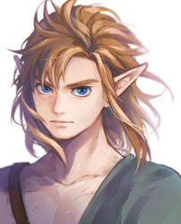 Rule 34 | 1boy, blonde hair, blue eyes, closed mouth, cropped torso, dated, hair tie, highres, link, looking at viewer, male focus, nintendo, pointy ears, solo, the legend of zelda, the legend of zelda: breath of the wild, white background, yon yosi