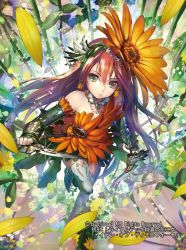 Rule 34 | 1girl, boots, cardfight!! vanguard, company name, dagger, earrings, fingerless gloves, flower, gloves, hair flower, hair ornament, jewelry, knife, leaf, long hair, maiden of dimorphotheca, momose hisashi, multicolored eyes, official art, petals, red hair, solo, thighhighs, weapon
