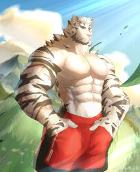 Rule 34 | 1boy, abs, absurdres, alternate costume, alternate facial hair, animal ears, arknights, bara, beard, cross scar, facial hair, feet out of frame, field, furry, furry male, grass, hands in pockets, highres, large hands, large pectorals, looking to the side, male focus, mature male, mountain (arknights), muscular, muscular male, navel, no nipples, onlybwg3, outdoors, pectorals, red shorts, scar, scar on arm, short hair, shorts, sideburns, solo, standing, stomach, sunlight, thick eyebrows, tiger boy, tiger ears, topless male, white fur, wind