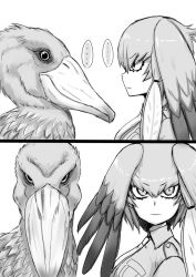 Rule 34 | ..., 10s, 1girl, 2koma, bad id, bad twitter id, bird, closed mouth, collared shirt, comic, commentary, frown, greyscale, hair tie, head wings, hikyakuashibi, kemono friends, long hair, looking at another, looking at viewer, monochrome, necktie, shirt, shoebill, shoebill (kemono friends), side ponytail, silent comic, solo, spoken ellipsis, staring, v-shaped eyebrows, v-shaped eyes, wings