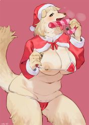 Rule 34 | 1girl, animal ears, animal hands, artist name, bebebe, belly, bikini, bikini top lift, black eyes, blonde hair, blush, breasts, breath, cameltoe, candy, candy cane, christmas, claws, cleft of venus, clothes lift, covered erect nipples, cowboy shot, dog ears, dog tail, female focus, food, fur trim, furry, furry female, half-closed eyes, hands up, hat, heart, holding, large breasts, licking, lifted by self, long sleeves, looking at viewer, navel, nipples, open mouth, original, pawpads, pink background, red bikini, red hat, saliva, santa hat, short hair, signature, simple background, skindentation, solo, standing, string bikini, swimsuit, tail, tongue, tongue out