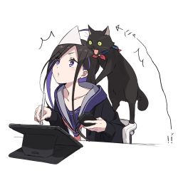 Rule 34 | 1girl, ahoge, animal, black cardigan, black cat, black hair, cardigan, cat, chair, commentary request, drawing tablet, green eyes, highres, holding, holding stylus, multicolored hair, neckerchief, on chair, open cardigan, open clothes, original, parted bangs, parted lips, purple eyes, purple hair, purple sailor collar, red neckerchief, sailor collar, shirt, simple background, sitting, solo, stylus, tama (tama-s), translation request, triangular headpiece, two-tone hair, upper body, v-shaped eyebrows, white background, white headwear, white shirt, yurako-san (tama)