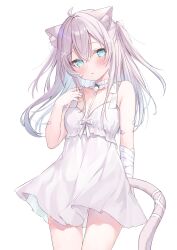 Rule 34 | 1girl, absurdres, animal ear fluff, animal ears, bandaged arm, bandages, bandaid, bandaid on arm, bandaid on cheek, bandaid on face, blue eyes, cat ears, cat girl, cat tail, commission, dress, expressionless, grey hair, hakua aa, highres, indie virtual youtuber, long hair, looking at viewer, mashirone mimiy, second-party source, short dress, simple background, skeb commission, sleeveless, sleeveless dress, tail, virtual youtuber, white background, white dress