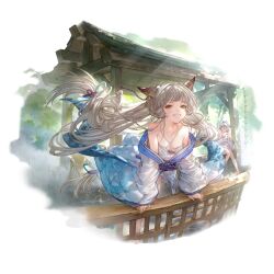 Rule 34 | 2girls, alpha transparency, bare shoulders, blunt bangs, blush, braid, breasts, brown eyes, collarbone, erune, granblue fantasy, green eyes, grin, heterochromia, long hair, looking at viewer, minaba hideo, multiple girls, official art, pholia, pholia (yukata), short eyebrows, small breasts, smile, thick eyebrows, transparent background, very long hair