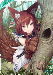 Rule 34 | 1girl, akkijin, animal ears, animal hands, brown eyes, brown hair, cuffs, day, embarrassed, fenrir (shinkai no valkyrie), forest, hiding, hood, nature, shackles, shinkai no valkyrie, solo, squirrel, tail, tree, white hood, wolf ears, wolf hood, wolf tail