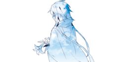 Rule 34 | 1girl, blue theme, cloak, facing away, flower, hair over eyes, highres, holding, holding flower, lily (flower), long hair, original, pointy ears, simple background, sky, solo, standing, upper body, white background, wmikawa