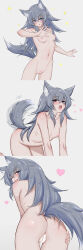 Rule 34 | 1girl, :o, absurdres, all fours, animal ear fluff, animal ears, ass, bar censor, blue eyes, blush, breasts, censored, cleft of venus, completely nude, dog ears, dog girl, dog tail, eyelashes, fang, grey hair, hair between eyes, hair over shoulder, heart, highres, hip bones, long bangs, long hair, looking at viewer, looking back, multiple views, mustee, naughty face, nipples, nude, open mouth, original, presenting, pussy, ribs, sidelocks, simple background, skinny, small breasts, smile, sparkle, standing, tail, tail wagging, tongue