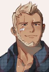 Rule 34 | 1boy, aaron huton (cyphers), alternate costume, bandaid, bandaid on cheek, bandaid on face, bara, beard, black hair, blue shirt, brk 603, checkered clothes, checkered shirt, collared shirt, cyphers, facial hair, looking to the side, male focus, mature male, muscular, muscular male, pectoral cleavage, pectorals, portrait, scar, scar across eye, shirt, short hair, smile, solo, spiked hair, thick eyebrows, white background, white hair