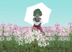 Rule 34 | 1girl, ascot, backlighting, collared shirt, commentary request, day, field, flower, flower field, flower request, green hair, hands up, highres, holding, holding umbrella, kazami yuuka, long skirt, long sleeves, plaid, plaid skirt, plaid vest, red eyes, red skirt, red vest, sano naoi, shirt, short hair, skirt, skirt set, smile, solo, touhou, umbrella, vest, wavy hair, white shirt, yellow ascot