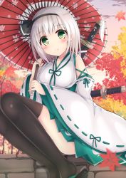 Rule 34 | 1girl, adapted costume, autumn leaves, bare shoulders, black thighhighs, blush, breasts, closed mouth, day, detached sleeves, falling leaves, green eyes, green ribbon, green skirt, holding, holding umbrella, japanese clothes, katana, knees up, konpaku youmu, leaf, legs together, long sleeves, looking at viewer, medium breasts, miko, neck ribbon, oil-paper umbrella, outdoors, over-kneehighs, ribbon, ribbon-trimmed sleeves, ribbon trim, sakuramochi usa, sandals, sheath, sheathed, short hair, sitting, skirt, smile, solo, sword, thighhighs, touhou, umbrella, weapon, white hair, wide sleeves