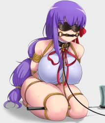 Rule 34 | 1girl, arms behind back, bb (fate), bb (fate/extra), bdsm, bit gag, blindfold, bondage, bound, bow, breasts, collar, covered erect nipples, fate/extra, fate/extra ccc, fate/grand order, fate (series), gag, gagged, hair ribbon, large breasts, leash, leotard, long hair, purple eyes, purple hair, rebake, ribbon, rope, seiza, shibari, sitting, skindentation, slave, solo, thick thighs, thighs
