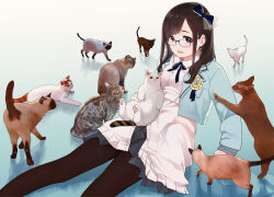 Rule 34 | 1girl, animal, belt, black skirt, blue bow, blue jacket, blue ribbon, bow, brown eyes, brown hair, brown pantyhose, cat, commentary, earrings, feet out of frame, glasses, gradient background, hanabasami kyou, highres, holding, holding animal, holding cat, jacket, jewelry, long hair, long sleeves, looking at viewer, morifumi, neck ribbon, on floor, open mouth, pantyhose, pleated skirt, re:act, ribbon, school uniform, shirt, sitting, skirt, sleeves past wrists, solo, too many, too many cats, virtual youtuber, white shirt, white skirt