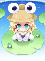 Rule 34 | 1girl, female focus, frog, hat, lily pad, moriya suwako, nature, outdoors, petenshi (dr. vermilion), plant, skirt, sky, solo, touhou