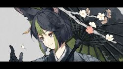 Rule 34 | 1boy, alternate costume, animal ear fluff, animal ears, black gloves, black hair, cha hanare, closed mouth, earrings, flower, fox boy, fox ears, genshin impact, gloves, green hair, grey background, hair between eyes, highres, japanese clothes, jewelry, kimono, letterboxed, male focus, multicolored hair, oil-paper umbrella, petals, pink flower, portrait, simple background, single earring, solo, tighnari (genshin impact), umbrella, white flower