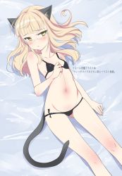Rule 34 | 1girl, animal ears, aohashi ame, bikini, black bikini, blonde hair, blush, breasts, cat ears, cat tail, glasses, highres, long hair, looking at viewer, navel, perrine h. clostermann, shiny skin, small breasts, solo, strike witches, swimsuit, tail, world witches series, yellow eyes