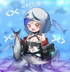 Rule 34 | 1girl, belt, black belt, black hair, black jacket, breasts, camisole, cleavage, commentary request, fish, grey hair, hair ornament, holding, hololive, jacket, large breasts, multicolored hair, off shoulder, red eyes, sakamata chloe, sakamata chloe (1st costume), solo, streaked hair, taiyo sketches, tearing up, translation request, underwear, virtual youtuber, white camisole, x hair ornament