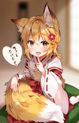 Rule 34 | 1girl, :d, animal ear fluff, animal ears, apron, blonde hair, blurry, blurry background, blush, brown apron, brown eyes, commentary request, depth of field, fang, finger to mouth, fingernails, flower, fox ears, fox girl, fox tail, hair between eyes, hair flower, hair ornament, hakama, hakama skirt, heart, highres, holding, holding tail, index finger raised, japanese clothes, kimono, long sleeves, looking at viewer, miko, no shoes, open mouth, red hakama, ribbon-trimmed sleeves, ribbon trim, seiza, senko (sewayaki kitsune no senko-san), sewayaki kitsune no senko-san, sitting, skirt, smile, socks, soles, solo, spoken heart, tabi, tail, translated, usagihime, white kimono, white socks, wide sleeves, yellow eyes