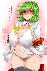 Rule 34 | 1girl, arm behind back, ascot, ascot removed, belly, black panties, black thighhighs, blush, breasts, cleavage, collarbone, collared shirt, covered erect nipples, curvy, female focus, green hair, heavy breathing, highres, kazami yuuka, large breasts, long sleeves, looking at viewer, navel, panties, parted lips, pink background, plaid, plaid skirt, plaid vest, red eyes, roki (hirokix), shiny skin, shirt, skirt, unworn skirt, solo, straining buttons, sweat, thighhighs, thighs, touhou, translation request, underwear, vest, unworn vest, wavy hair, white shirt