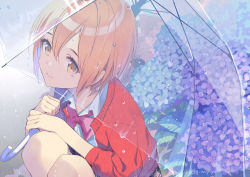 Rule 34 | 1girl, artist name, bow, bowtie, collared shirt, commentary request, flower, gin (oyoyo), hair between eyes, holding, holding umbrella, jacket, looking at viewer, open clothes, open jacket, orange hair, original, pink bow, pink bowtie, plaid, plaid skirt, pleated skirt, rain, red jacket, school uniform, see-through, shirt, short hair, signature, skirt, smile, solo, squatting, umbrella, water drop, white shirt, yellow eyes