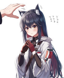 Rule 34 | 1girl, absurdres, animal ear fluff, animal ears, arknights, black hair, blush, closed mouth, crossed bangs, daisy cutter, fingers together, gloves, highres, jacket, long hair, long sleeves, official alternate costume, orange eyes, red gloves, simple background, solo focus, texas (arknights), texas (winter messenger) (arknights), upper body, white background, white jacket, wide sleeves, wolf ears, wolf girl