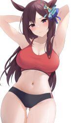 Rule 34 | 1girl, absurdres, alternate costume, animal ears, armpits, arms behind head, arms up, bare shoulders, black buruma, blush, bow, breasts, brown hair, buruma, cleavage, closed mouth, collarbone, commentary request, cowboy shot, ear bow, gluteal fold, groin, hair ornament, hairclip, highres, horse ears, horse girl, horse tail, large breasts, long hair, looking at viewer, mejiro dober (umamusume), midriff, navel, parted bangs, purple eyes, red sports bra, sidelocks, simple background, solo, sports bra, standing, tail, umamusume, white background, zeatto