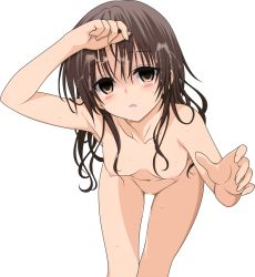 Rule 34 | 10s, 1girl, blush, breasts, brown eyes, brown hair, cum, facial, highres, long hair, looking at viewer, nipples, nude, open mouth, saliva, solo, to love-ru, to love-ru darkness, wet, yuuki mikan