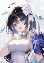 Rule 34 | &amp;ether, 1girl, absurdres, ahoge, artist name, bare shoulders, black hair, blue eyes, blue ribbon, blush, breasts, bug, butterfly, dress, flower, gradient background, grey background, hair flower, hair ornament, hand in own hair, hand up, highres, honkai (series), honkai impact 3rd, insect, looking at viewer, medium breasts, multicolored hair, ribbon, rose, seele vollerei, short hair, sleeveless, sleeveless dress, solo, teeth, two-tone hair, upper body, upper teeth only, white dress, white flower, white rose