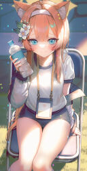 Rule 34 | 1girl, animal ear fluff, animal ears, blue archive, blue eyes, blush, bottle, chair, closed mouth, duplicate, flower, from above, gym shorts, gym uniform, hair flower, hair ornament, hairband, halo, hanato (seonoaiko), highres, holding, holding bottle, jacket, lanyard, long hair, looking at viewer, mari (blue archive), mari (track) (blue archive), multicolored clothes, multicolored jacket, official alternate costume, orange hair, pixel-perfect duplicate, plastic bottle, ponytail, shirt, shorts, sitting, solo, thighs, track jacket, two-tone jacket, water bottle, white flower, white hairband, white shirt