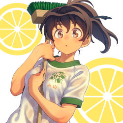 Rule 34 | 10s, 1girl, :o, bad id, bad pixiv id, between breasts, blush, bra, breasts, broom, brown eyes, brown hair, character request, clothes writing, emblem, girls und panzer, gym shirt, hair ribbon, holding, holding broom, koyama yuzu, looking at viewer, ooarai (emblem), pairan, parted lips, ponytail, ribbon, see-through, shirt, short hair, short sleeves, small breasts, solo, sweat, tareme, underwear, upper body, wet, wet clothes, wet shirt, white bra, white shirt