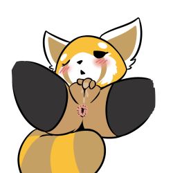Rule 34 | 10s, 1girl, aggressive retsuko, animal ears, anus, black eyes, black thighhighs, blush, cleft of venus, female focus, female masturbation, fingering, furry, furry female, half-closed eye, masturbation, one eye closed, open mouth, panda ears, pussy, pussy juice, retsuko, solo, spread legs, tail, thighhighs, transparent background, uncensored, vono (voon)