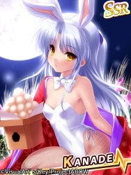 Rule 34 | 10s, 1girl, alternate costume, angel beats!, animal ears, backlighting, bare shoulders, blush, bow, bowtie, box, breasts, character name, company name, cowboy shot, detached collar, fake animal ears, fishnet pantyhose, fishnets, food, from side, full moon, hair ornament, hairband, highleg, highleg leotard, holding, image sample, japanese clothes, kimono, leotard, long hair, long sleeves, looking at viewer, mochi, moon, night, night sky, off shoulder, open clothes, open kimono, outdoors, pantyhose, parted bangs, parted lips, playboy bunny, rabbit ears, ribbon, silver hair, sky, small breasts, solo, tenshi (angel beats!), very long hair, wagashi, watermark, wheat, yellow eyes, zen